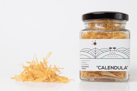 calendula19