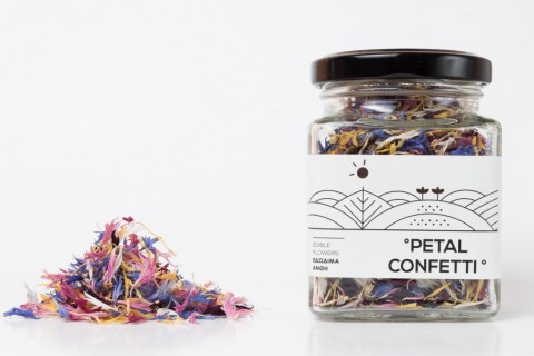 confetti1-1024x683