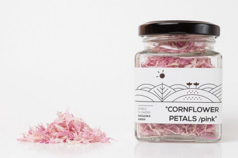 cornflower-pink1-1024x683