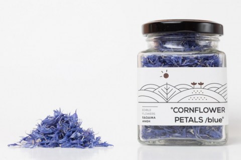 petals-blue1-1024x683