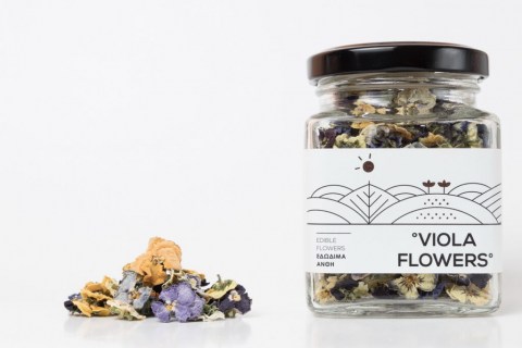 viola1-1024x683